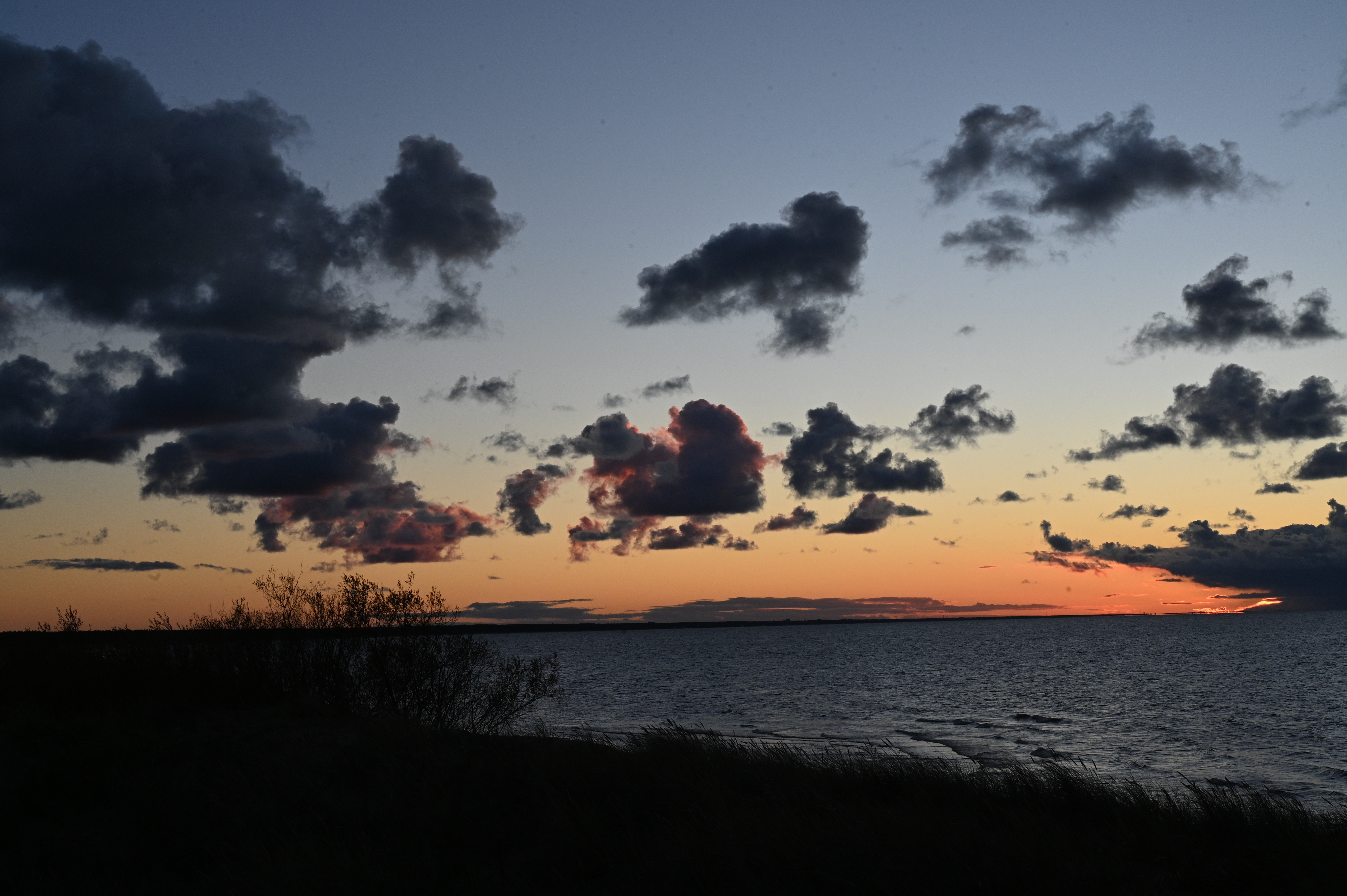 2025/10/18 - walk/DSC_0528.JPG